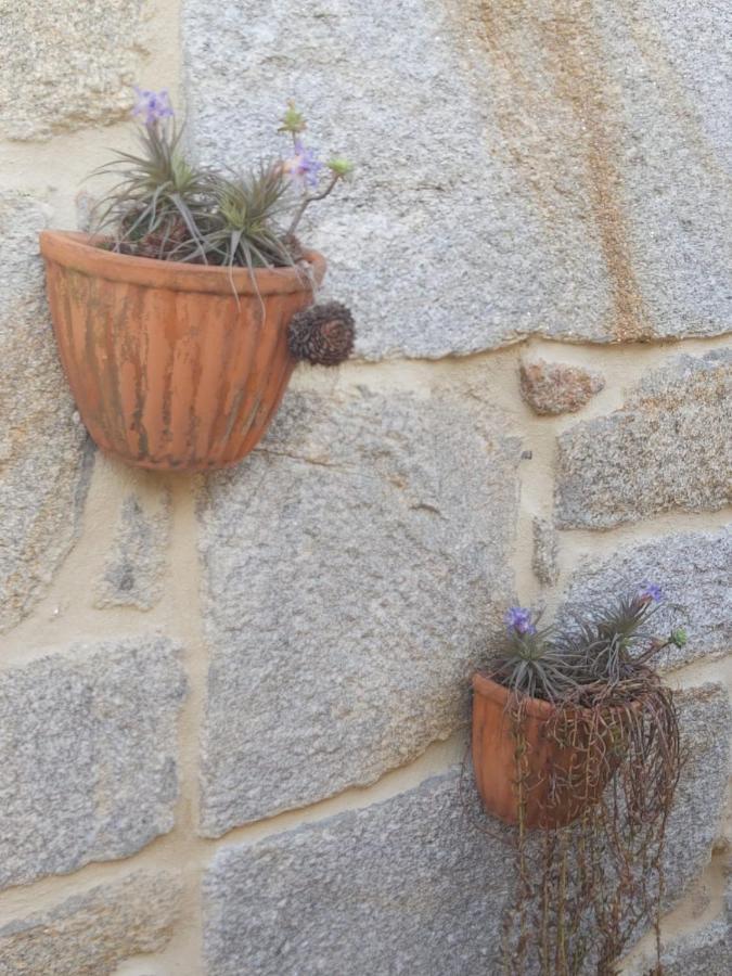 דירות Vivienda Con Terraza En Playas De באיונה מראה חיצוני תמונה
